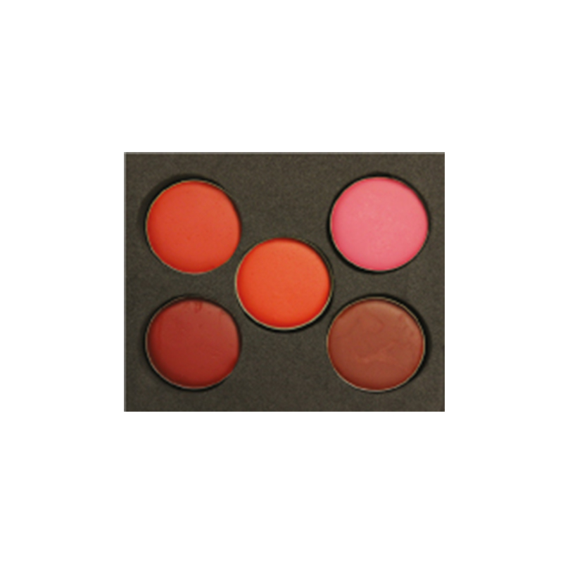 CX Lipstick Palette 5 Colors /RJ1/B